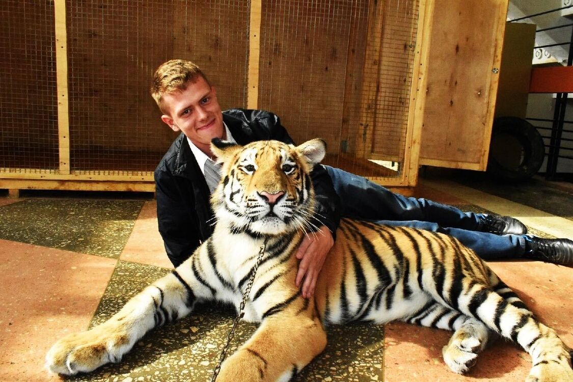 ���� 33615586 ������� ����, 28 ���, ���� ���������� � ������