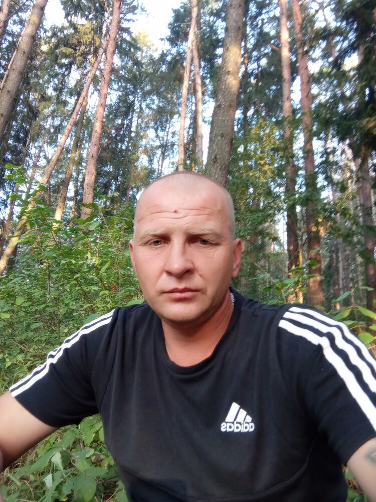  39513796  , 45 ,    
