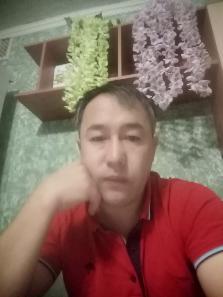  18141706  , 48 ,    