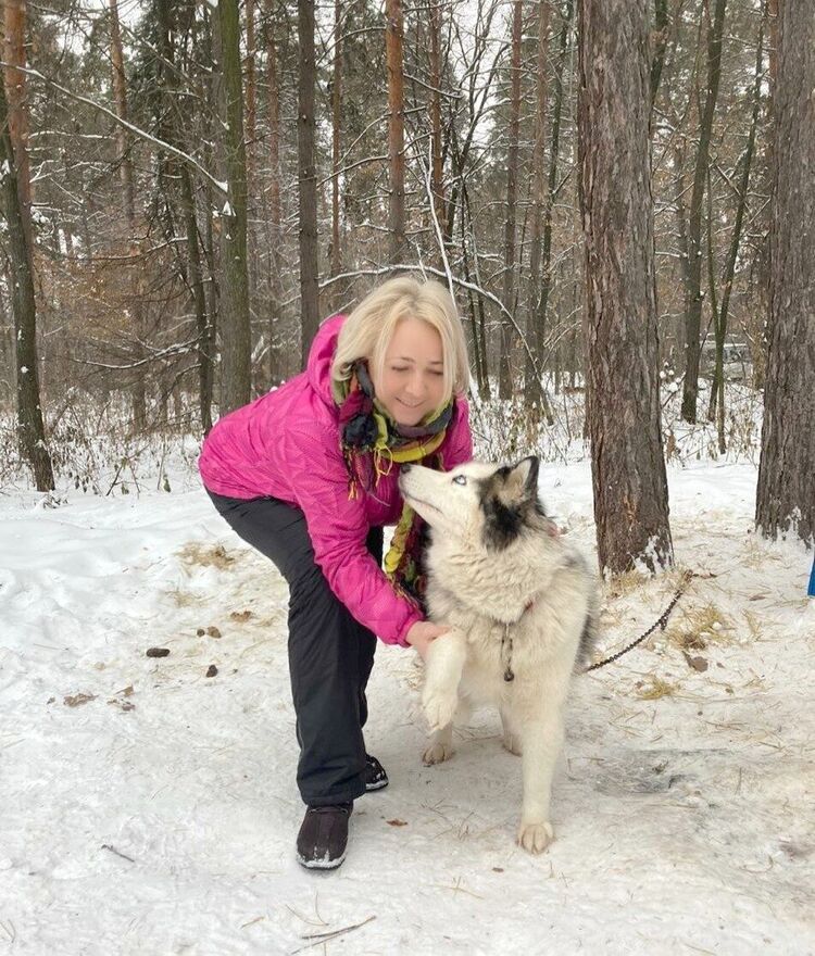  ,   , 51 ,  