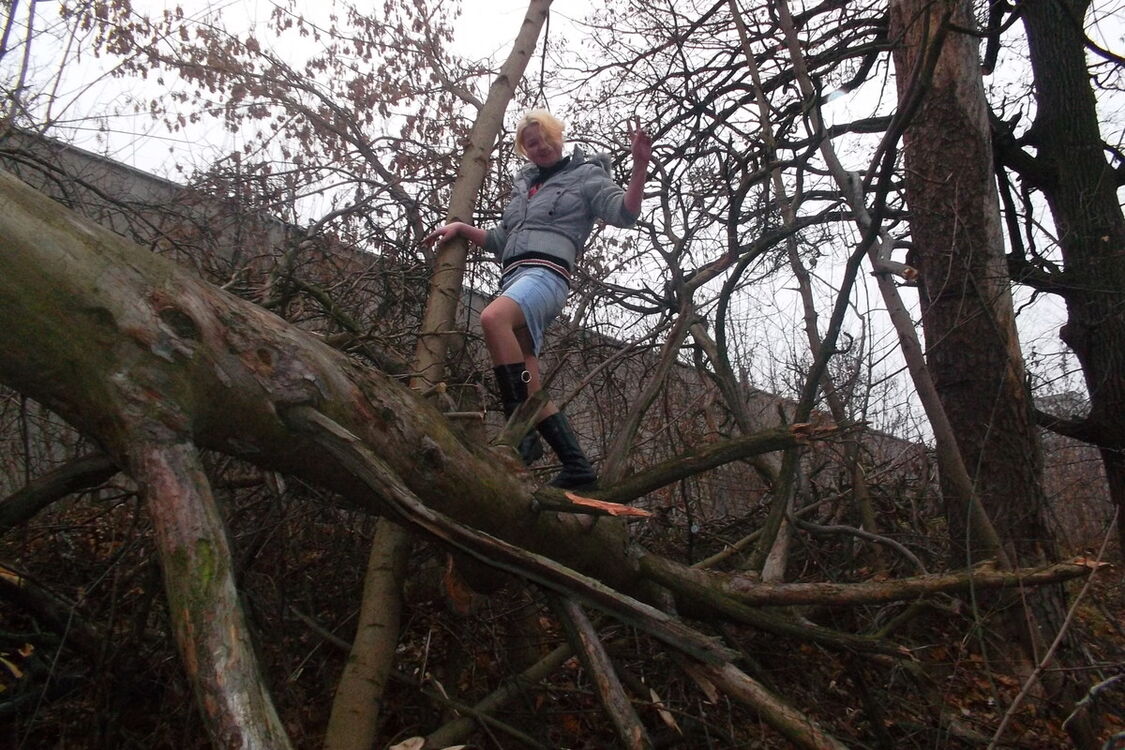 ���������� ����, ���� ������� ����, 38 ���, ������������ 