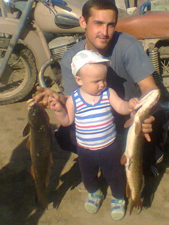 ���� 8109336 ������� �������, 35 ���, ���� ���������� � ��������