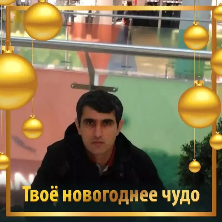 ���� 24687766 ������� ����, 43 ����, ���� ���������� � ����