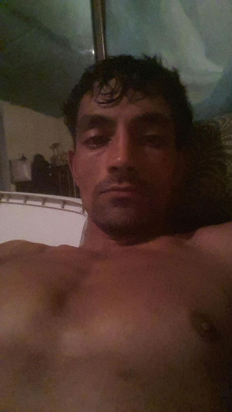  35529336  , 29 ,    