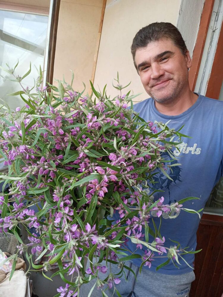  54718016  Grigoriy, 51 ,    