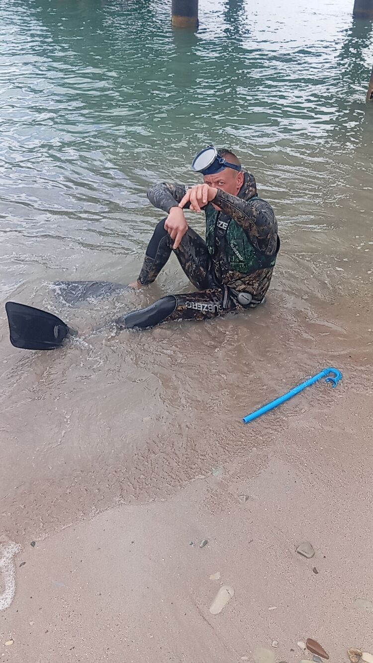 ���������� ��������-��-������, ���� ������� ����, 38 ���, ������������ ��� ������, ����� � ���������, c�������� ���������