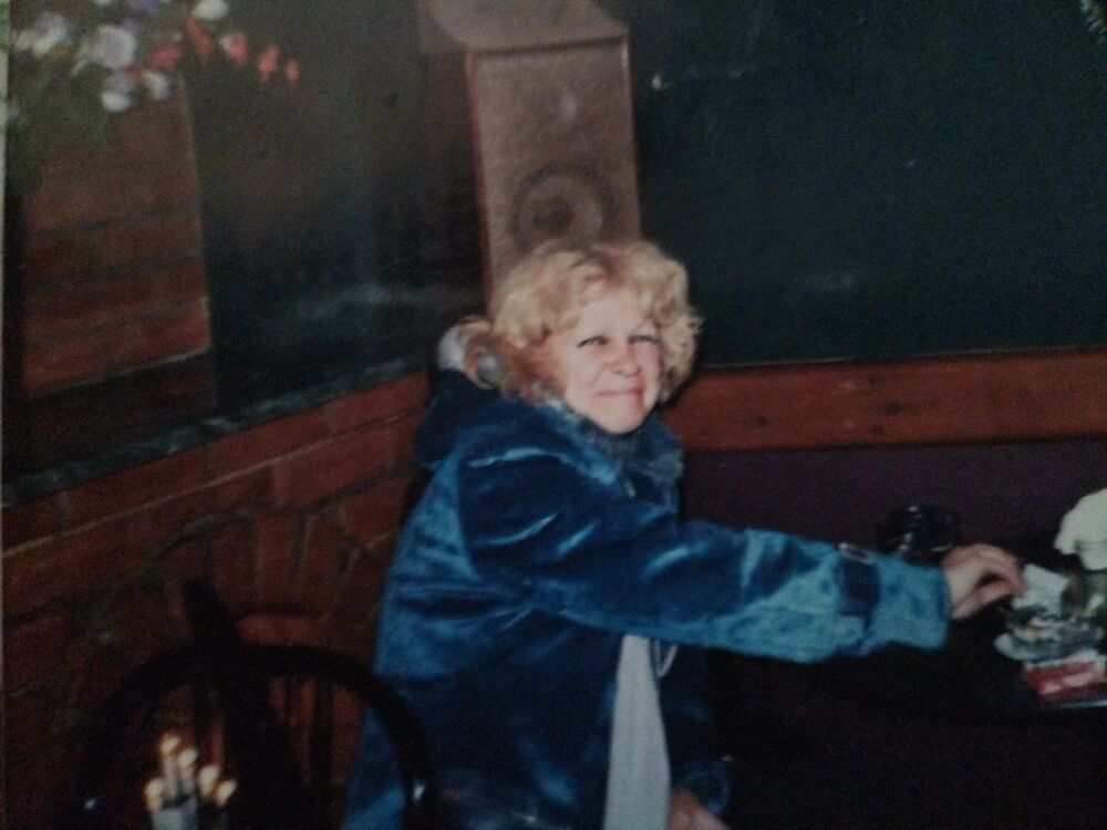  54497256  , 48 ,    -