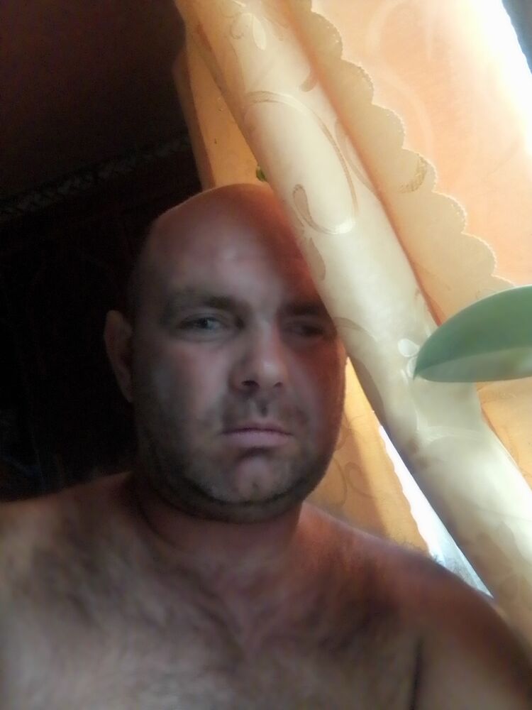  45836356  , 40 ,    