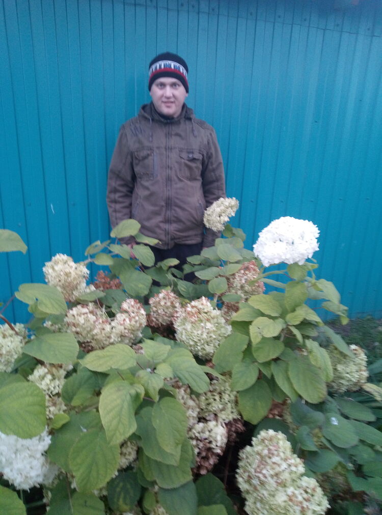 ���� 25211166 ������� ��������, 36 ���, ���� ���������� � ��������