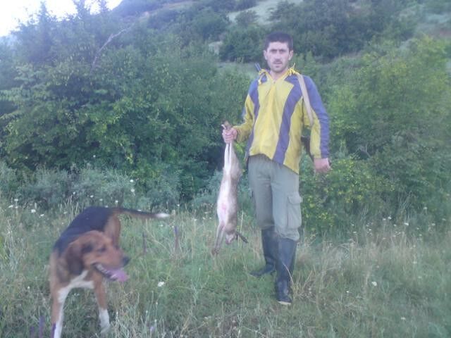  ,   Vano, 46 ,   