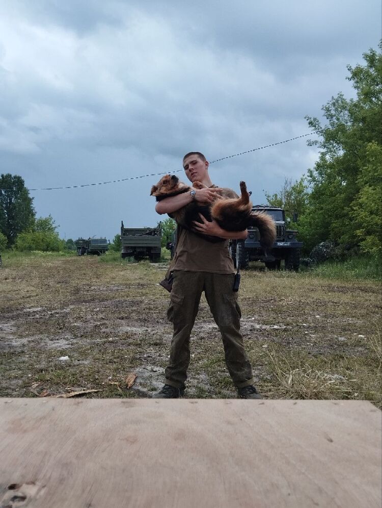 ���� 43854306 ����� �����, 20 ���, ���� ���������� � ������������