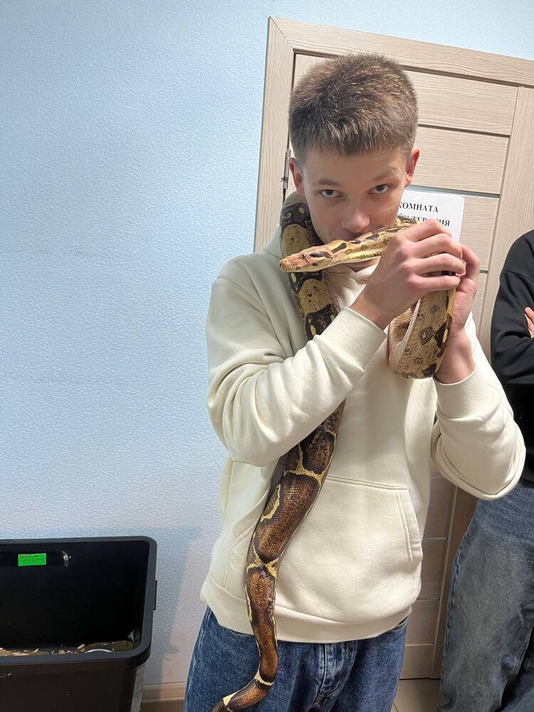 ���������� ������, ���� ����� ����, 23 ����, ������������ ��� ������, ����� � ���������