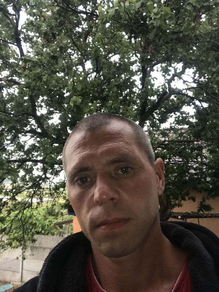  36604196  , 36 ,    
