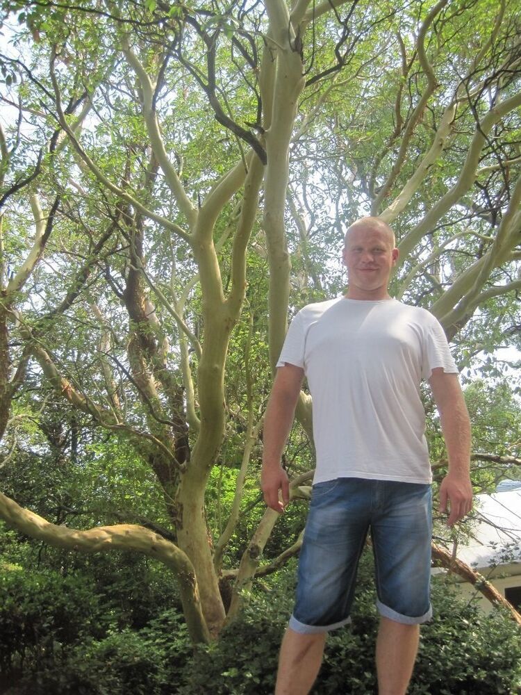 ���������� ������, ���� ������� ����, 37 ���, ������������ ��� ������, ����� � ���������, c�������� ���������