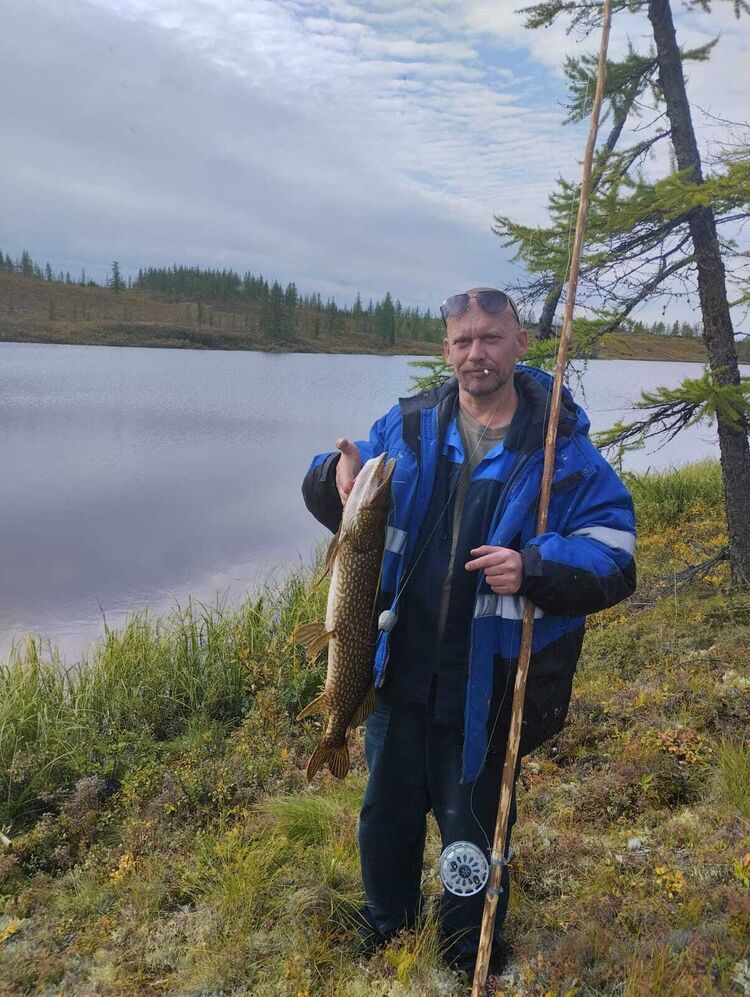 ���������� ������������, ���� ������� �����, 50 ���, ������������ ��� ������, ����� � ���������, c�������� ���������, ���������