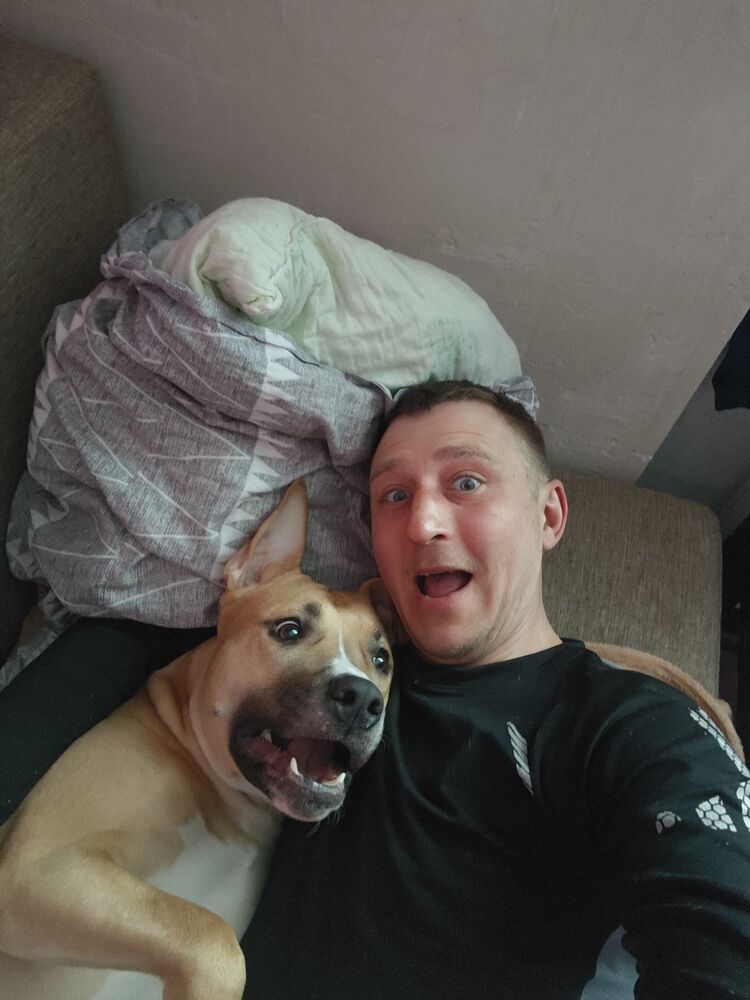 ���������� ��������, ���� ������� �������, 38 ���, ������������ ��� ������, ����� � ���������, c�������� ���������