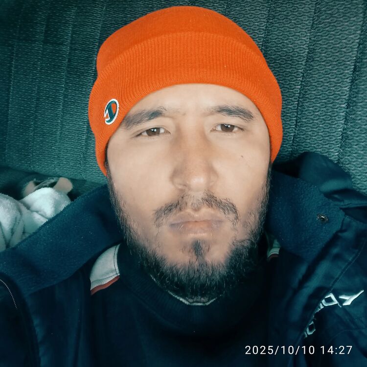 ���� 55743196 ������� ���������, 33 ����, ���� ���������� � ������