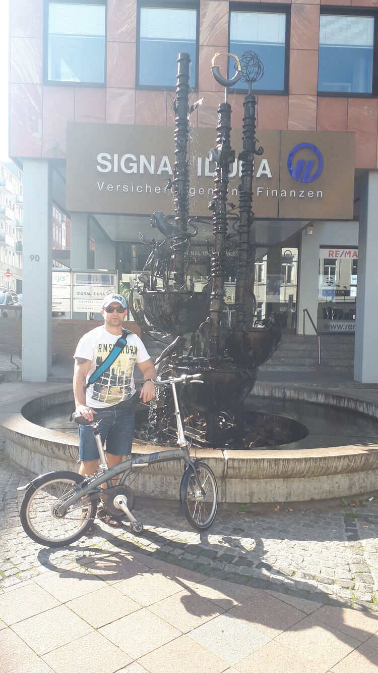  33416946  , 49 ,    