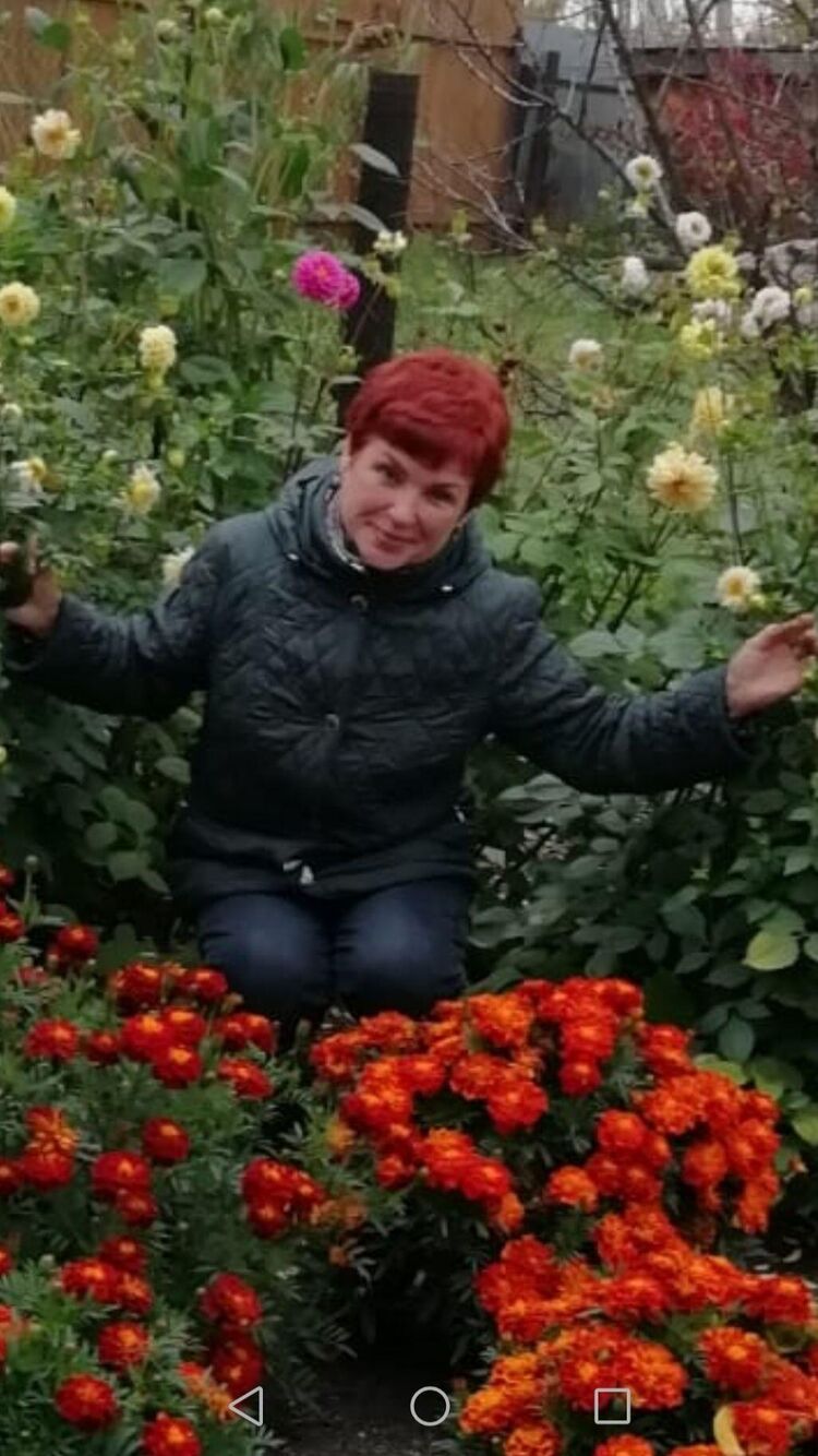  52446966  , 65 ,    