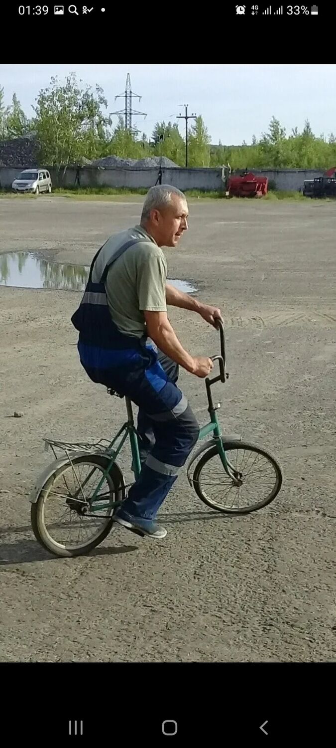  29113796  , 55 ,    