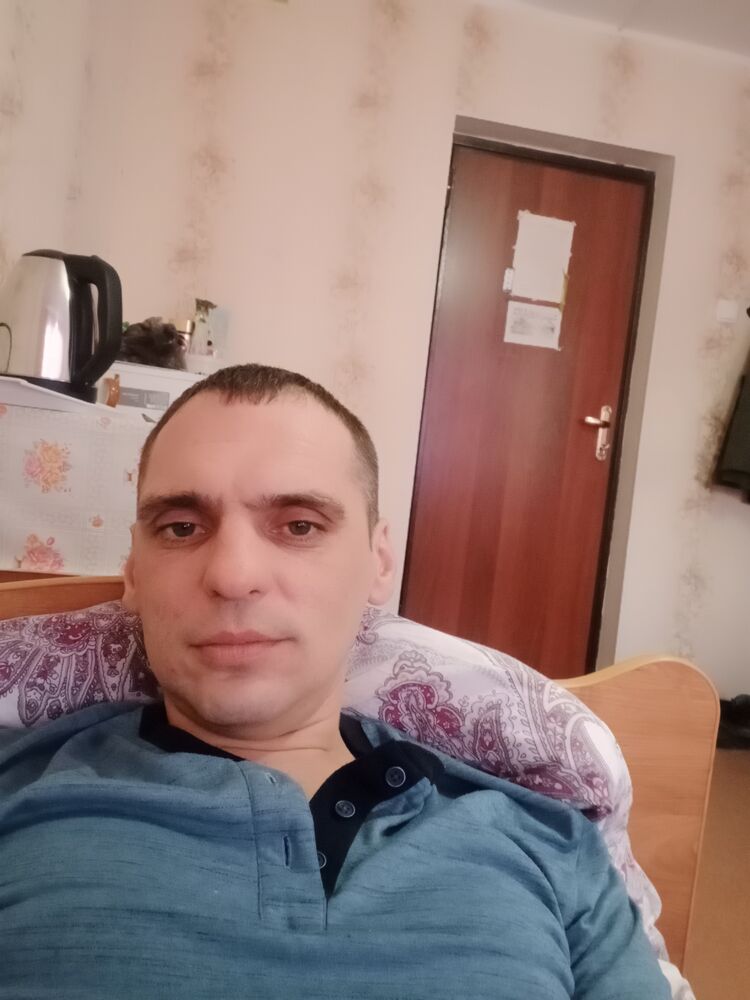  31332066  , 41 ,    