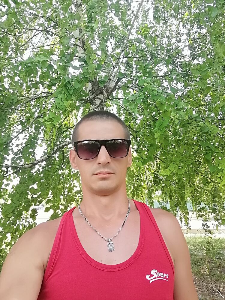  28365996  , 38 ,    --