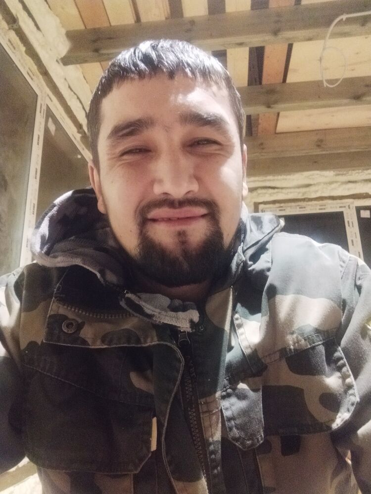  31067366  , 36 ,    -