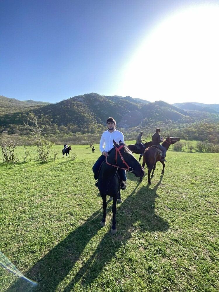 ���� 25949206 ����� �����, 25 ���, ���� ���������� � ���������