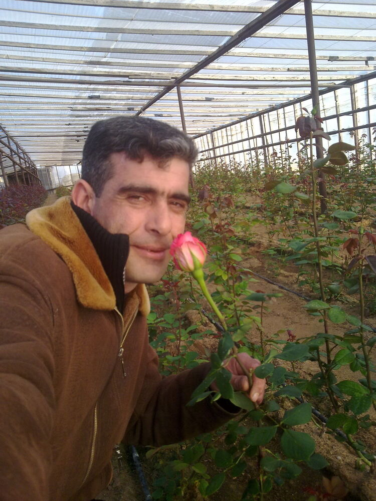 ���������� ����, ���� ������� ������, 43 ����, ������������ ��� ������, ����� � ���������, c�������� ���������