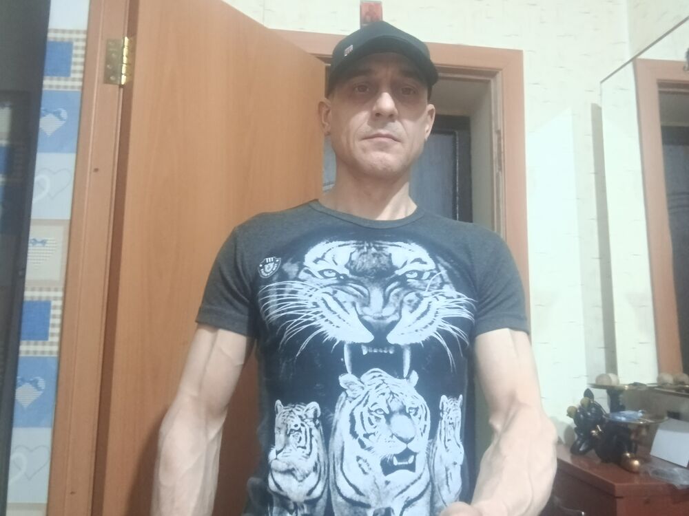  53573866  , 47 ,    