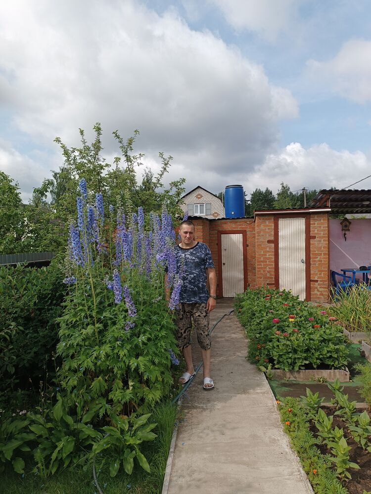 ���������� �����������, ���� ������� ����, 50 ���, ������������ ��� ������, ����� � ���������, c�������� ���������, ���������