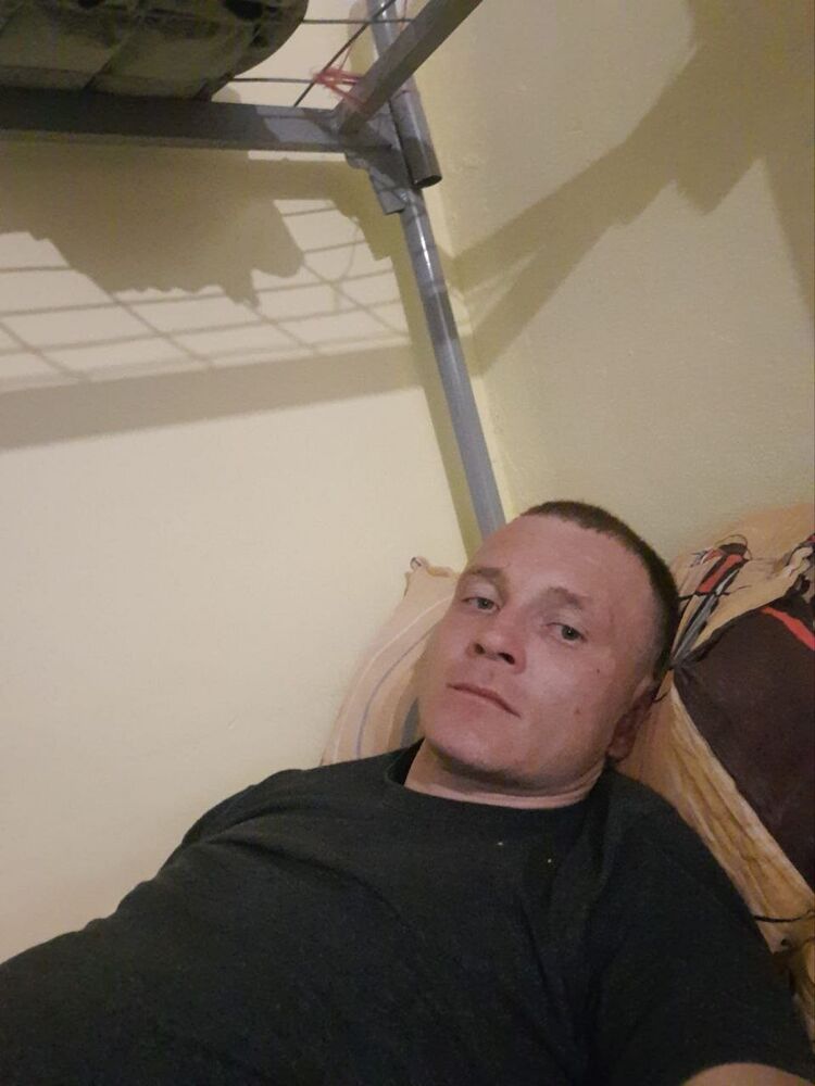  43185286  , 33 ,     