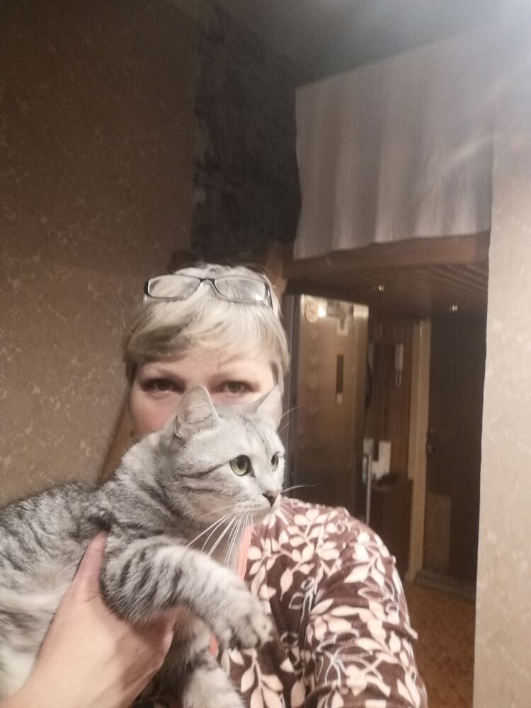 ���� 27623656 ������� �����, 53 ����, ���� ���������� � �����-����������