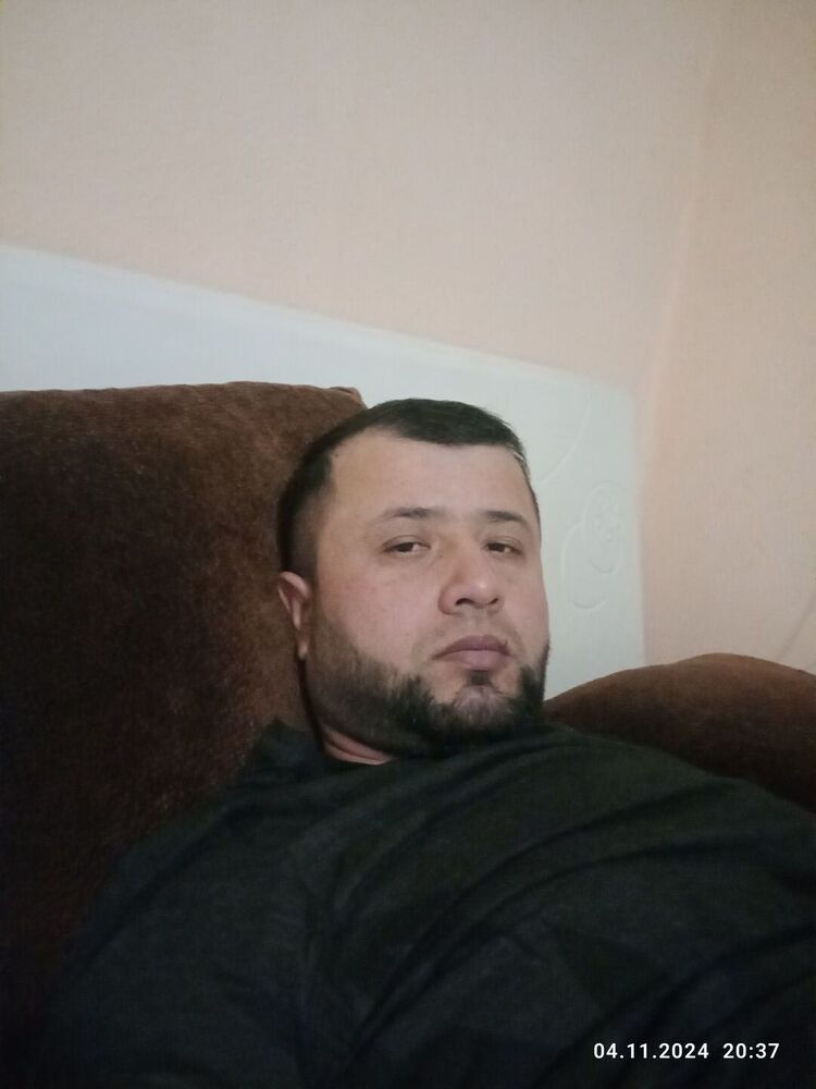  51683666  , 36 ,    