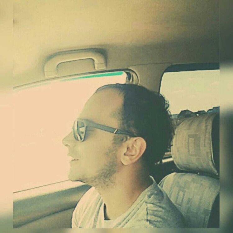  33153106  , 41 ,    