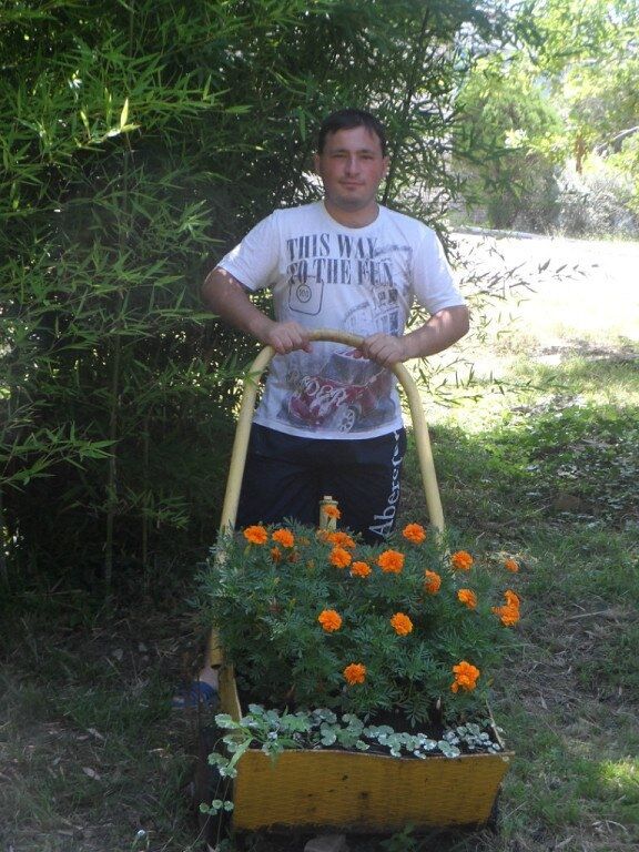 ���������� ������-��-����, ���� ������� �����, 33 ����, ������������ ��� ������, ����� � ���������