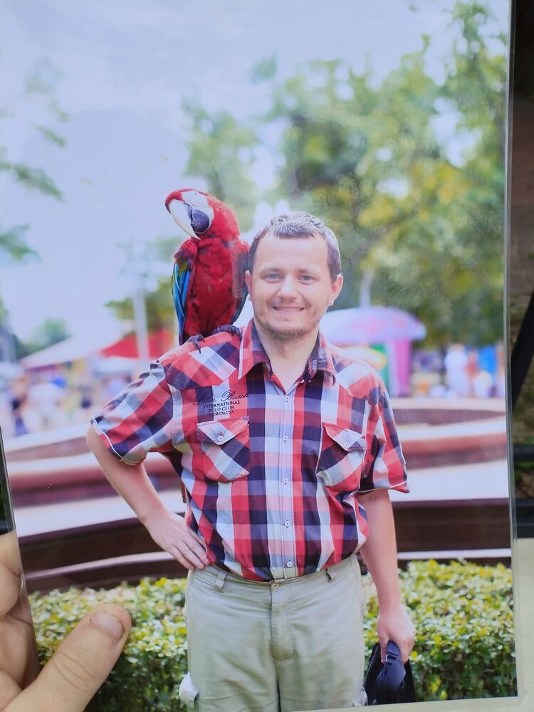 ���� 46260086 ������� ������, 30 ���, ���� ���������� � ������