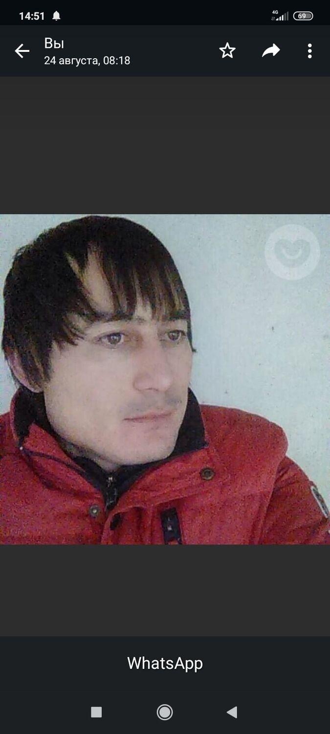  43855126  , 41 ,    