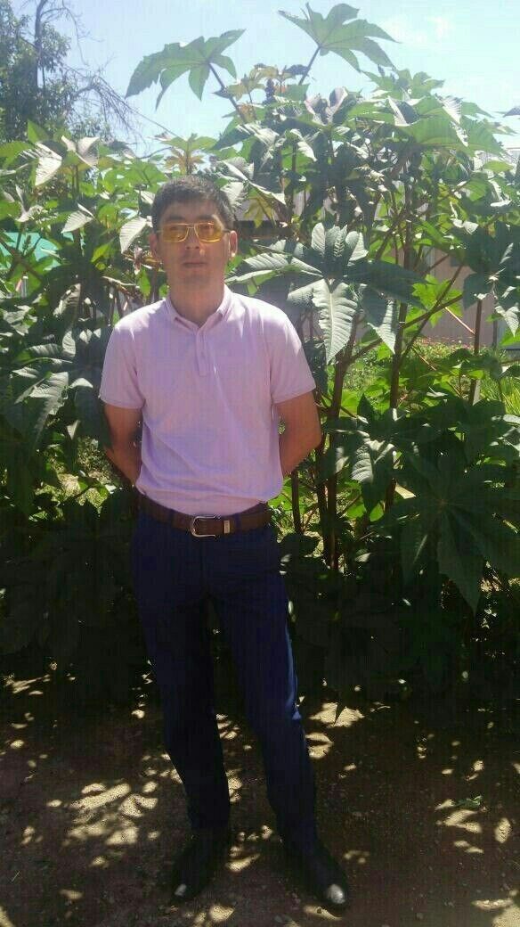 ���������� �������, ���� ������� �����, 38 ���, ������������ ��� ������, ����� � ���������, c�������� ���������