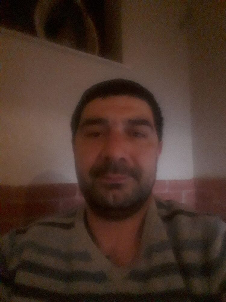  15317766  , 47 ,    