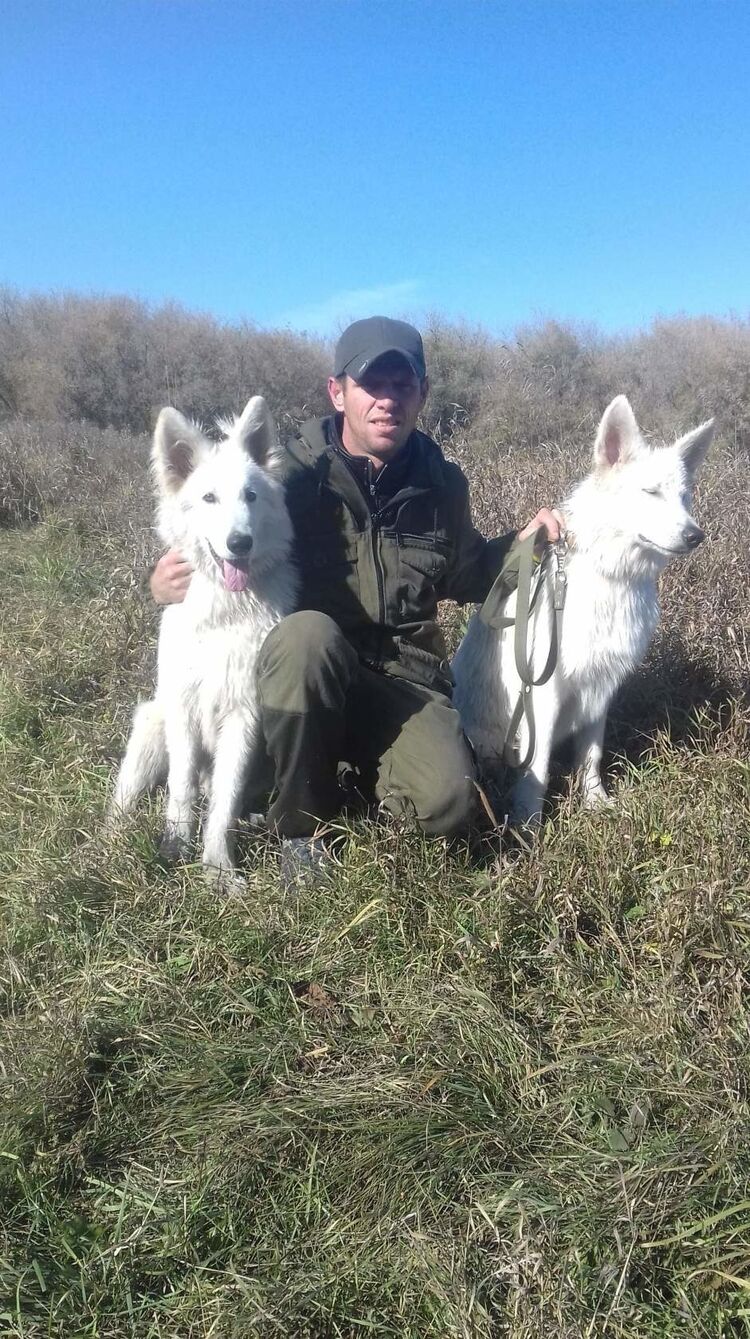 ���� 55654516 ������� ��������, 46 ���, ���� ���������� � ������