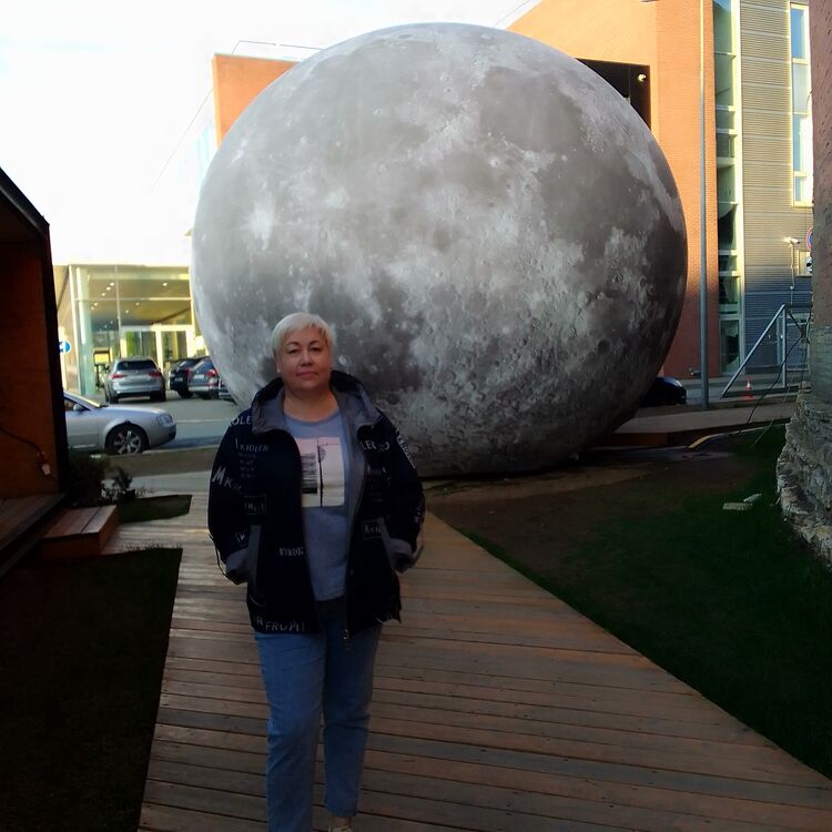 ���� 56242406 ������� �������, 53 ����, ���� ���������� � �������