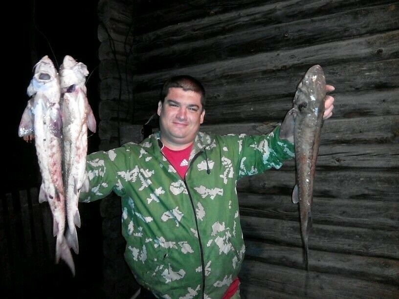 ���������� �����, ���� ������� Alexey, 47 ���, ������������ ��� ������, ����� � ���������, c�������� ���������, ���������