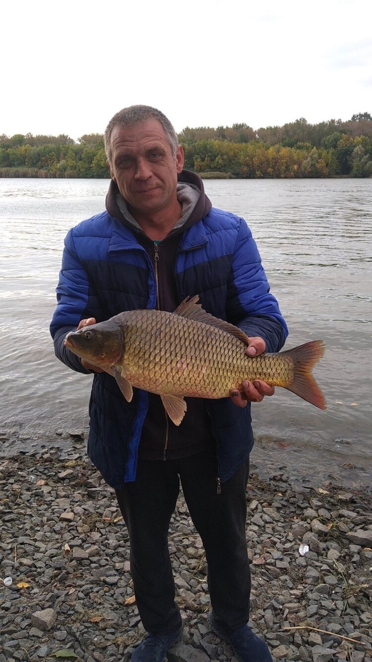 ���� 25734896 ������� ������, 44 ����, ���� ���������� � �������-��-����