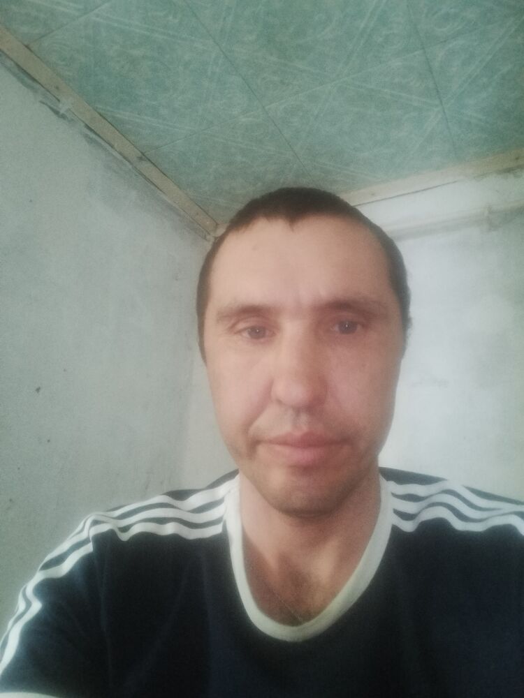 37942016  , 37 ,    