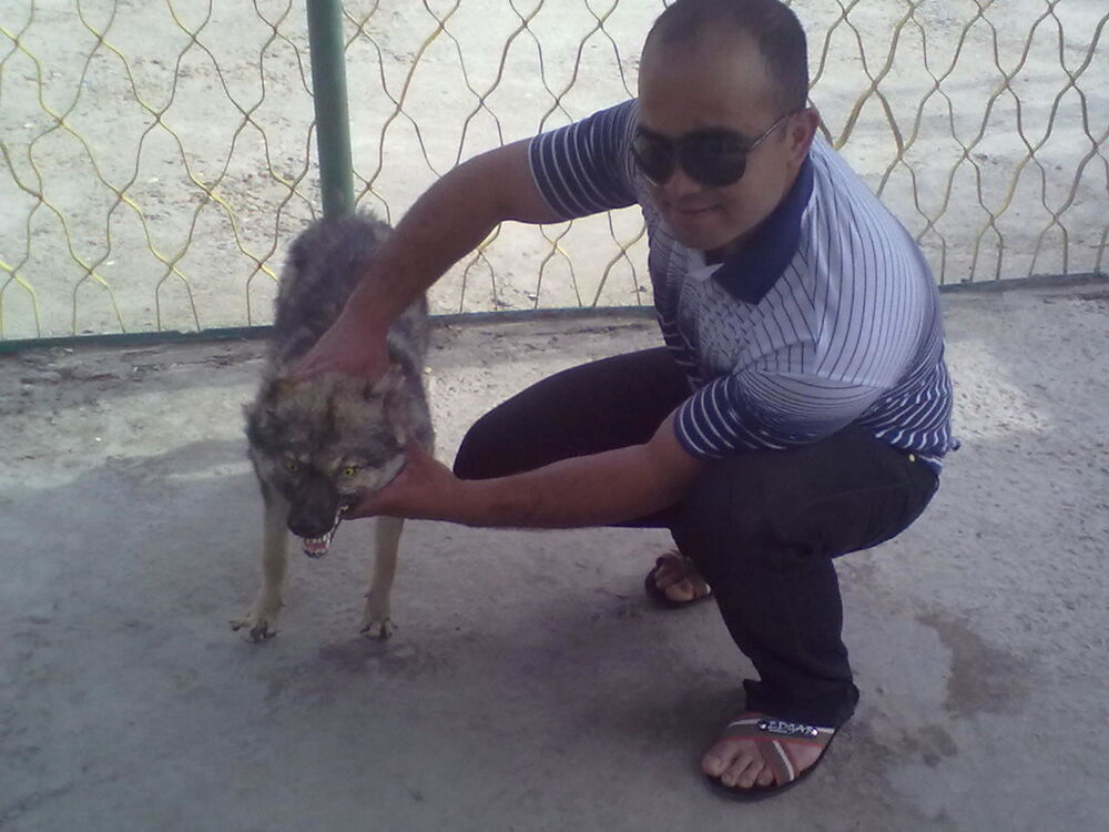  ,   Dima, 34 ,   ,   , c 