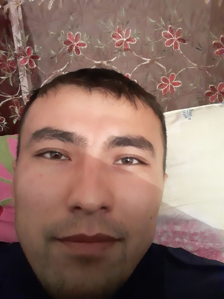  18313196  , 30 ,    