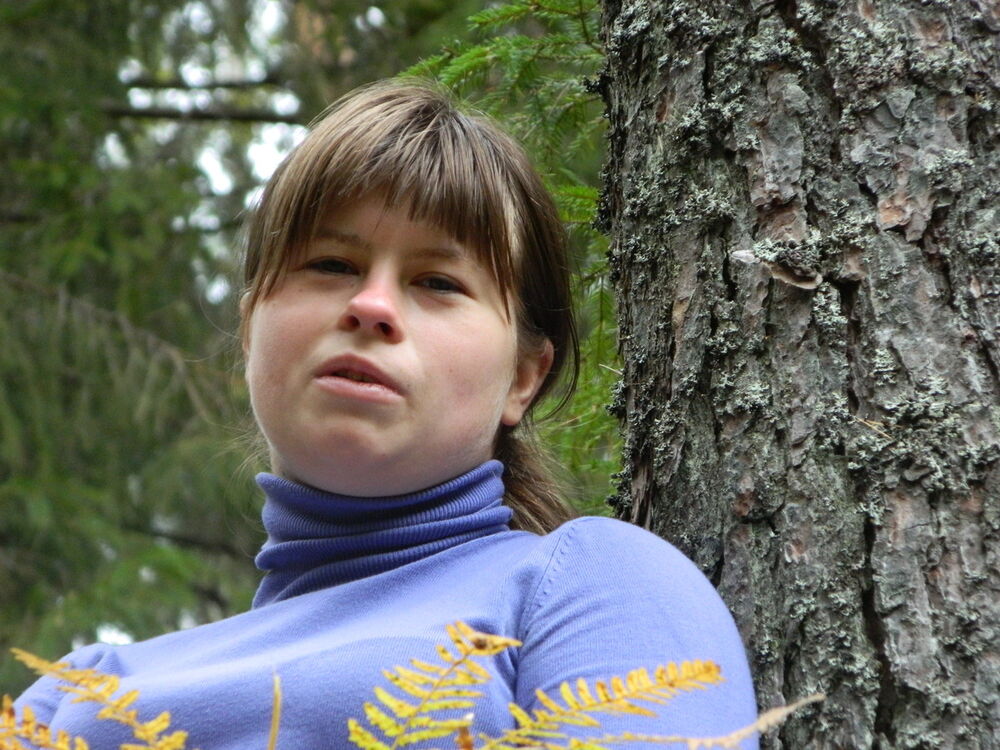  -,   , 36 ,   