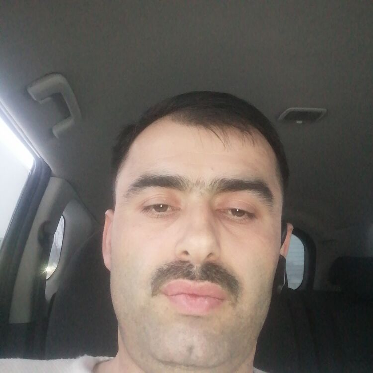  39818386  , 36 ,    