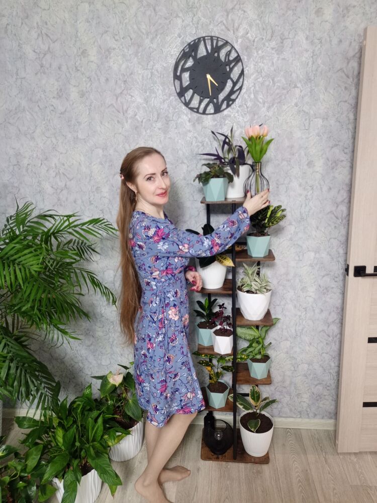 ���� 55104116 ������� �������, 44 ����, ���� ���������� � ������ ���������